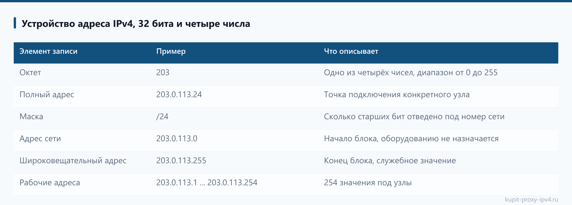 Устройство адреса IPv4, 32 бита и четыре числа, страница «Что такое прокси IPv4 и как он работает: адрес, маршрут и пул»
