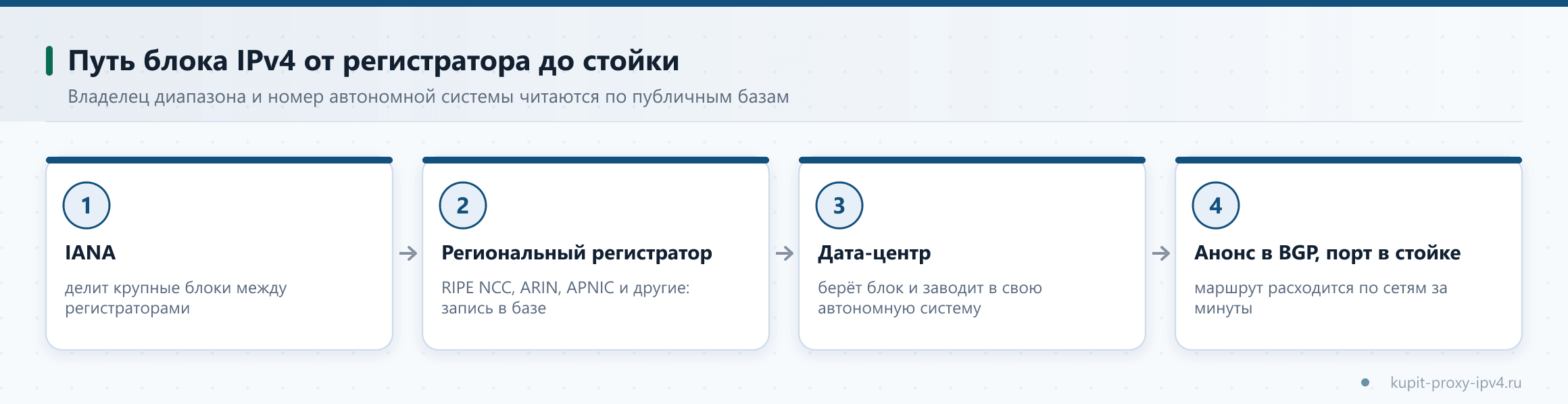 Схема «Серверные прокси IPv4: откуда берутся адреса дата-центров». Путь блока IPv4 от регистратора до стойки. Владелец диапазона и номер автономной системы читаются по публичным базам